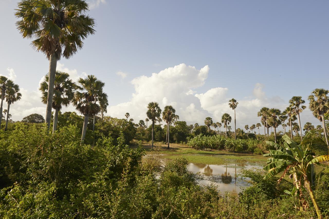 The Aiyana Resort & Spa Makangale Eksteriør billede