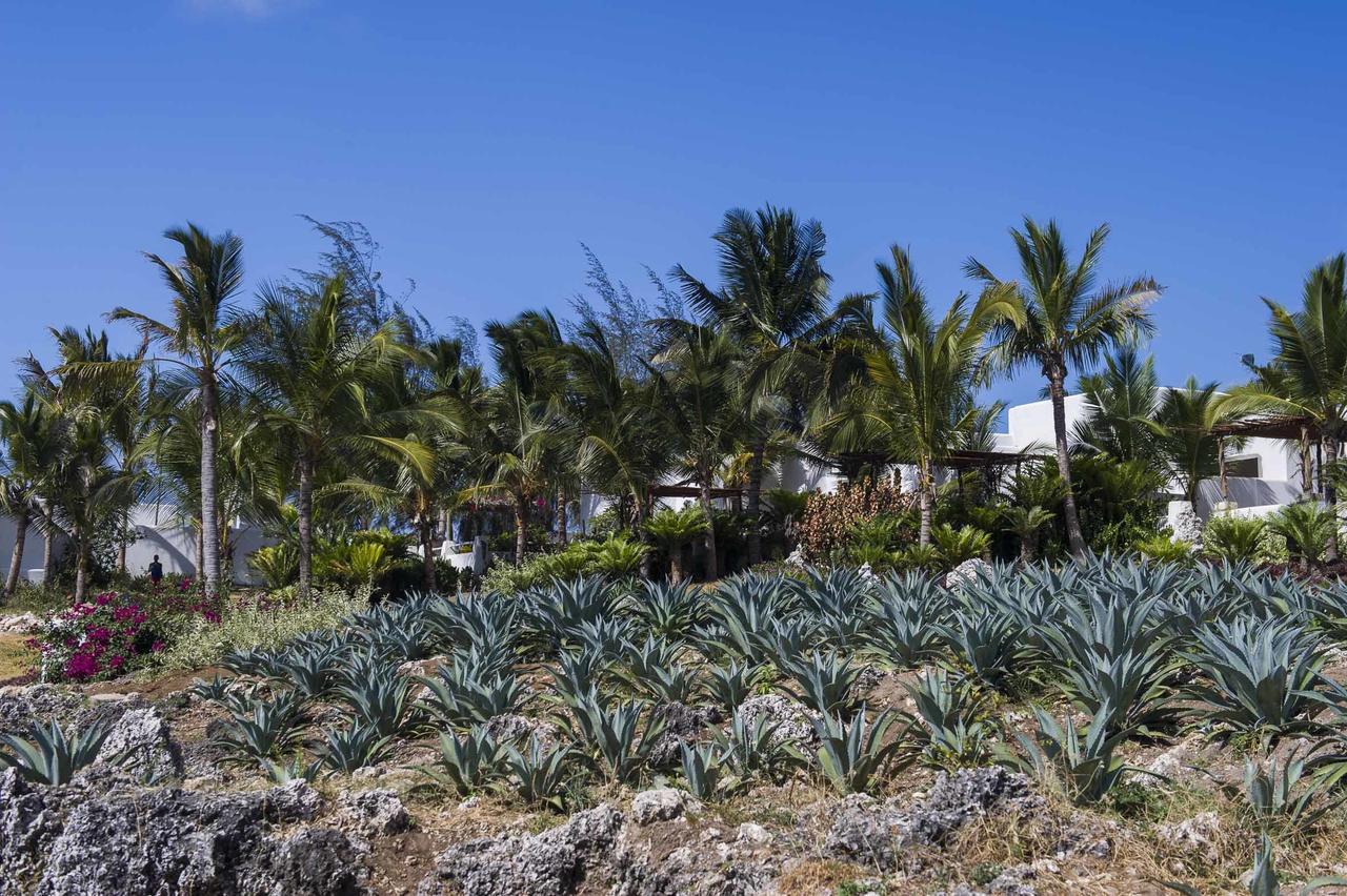 The Aiyana Resort & Spa Makangale Eksteriør billede